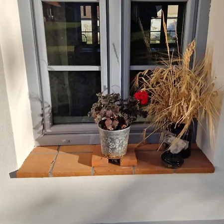 Orechovy Dvur Velke Nepodrice