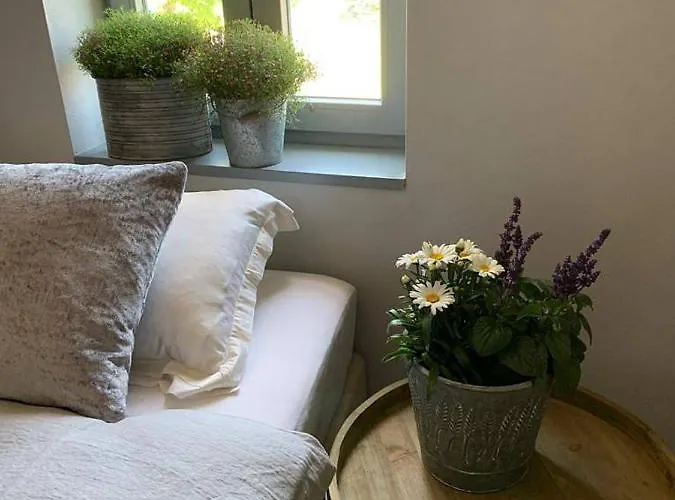 Aparthotel Ořechový Dvůr